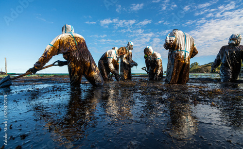 Fotografie, Obraz Volunteers clean the ocean coast from oil after a tanker wreck