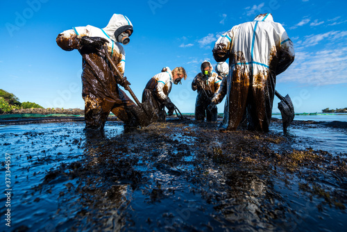 Photography Volunteers clean the ocean coast from oil after a tanker wreck