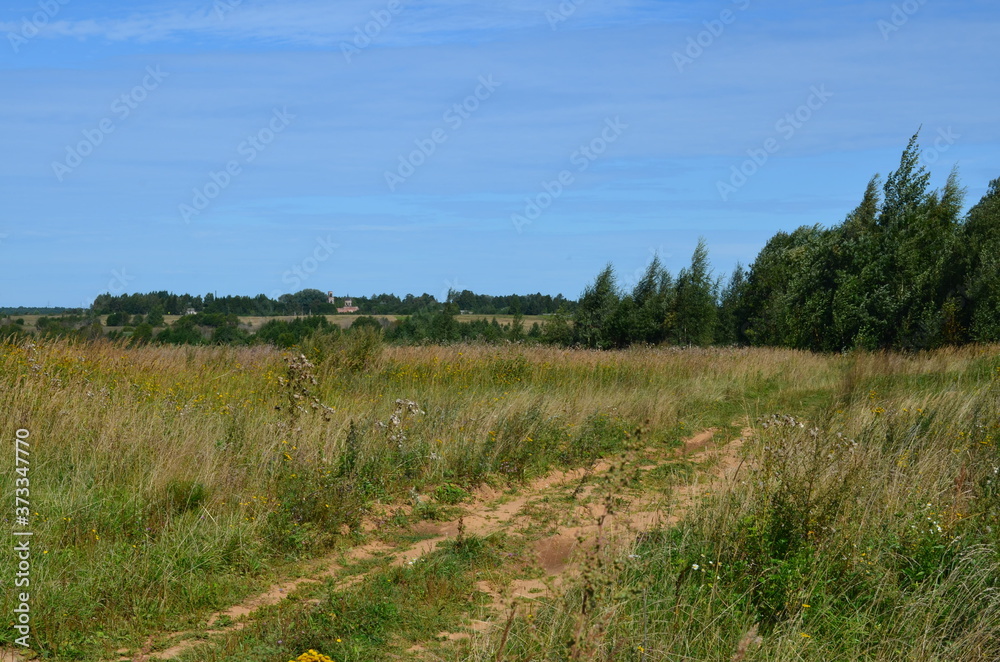 Summer country road through a field Summer country road through a field