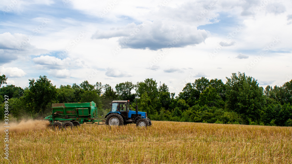 Old blue tractor with a trailer works in a mown rapeseed field against the backdrop of a forest on a sunny day. Seasonal work on a tractor for processing the earth with mineral substances. View side Old blue tractor with a trailer works in a mown rapeseed field against the backdrop of a forest on a sunny day. Seasonal work on a tractor for processing the earth with mineral substances. View side