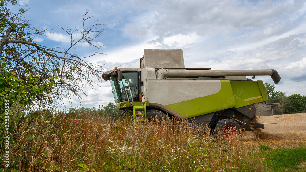 Fototapeta premium Modern combine harvester for harvesting wheat, working in field. In front him are bushes and thickets of grass against background of forest and sky. Collecting seeds of grain crops. Side view closeup