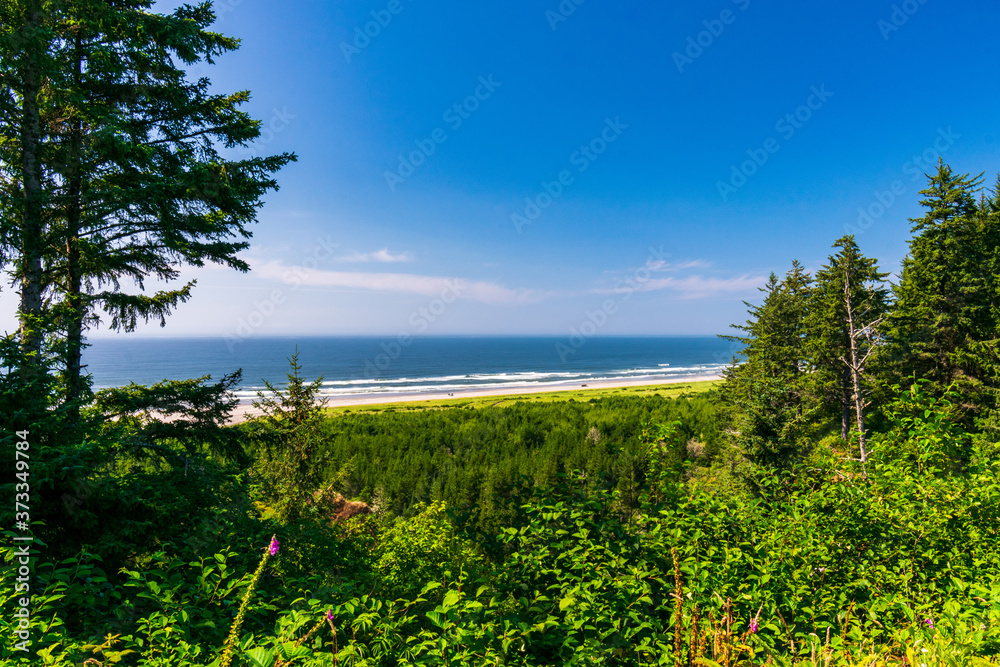 Pacific Ocean at Cape Disappointment State Park