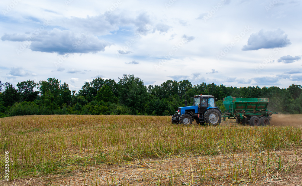 Old blue tractor with a trailer works in a mown rapeseed field against the backdrop of a forest on a sunny day. Seasonal work on a tractor for processing the earth with mineral substances. View side Old blue tractor with a trailer works in a mown rapeseed field against the backdrop of a forest on a sunny day. Seasonal work on a tractor for processing the earth with mineral substances. View side