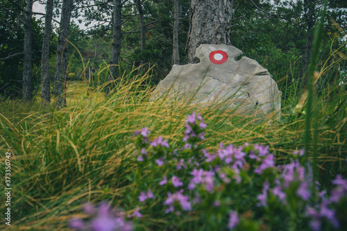 Hikers mark or markacija, panted circle with a dot on a tree or stone, to reveal the path to the top of the hill. photo