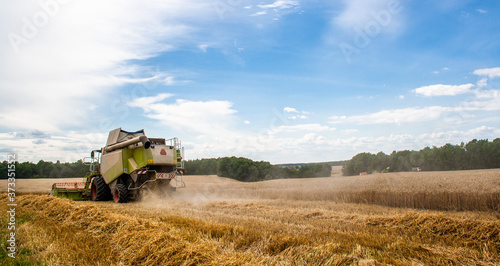 Combine harvester harvests ripe wheat in field with trees and beautiful blue sky with clouds. Reaping machine. Procurement of cereal seeds by combine for flour production. Side view. Banner site © Maksim