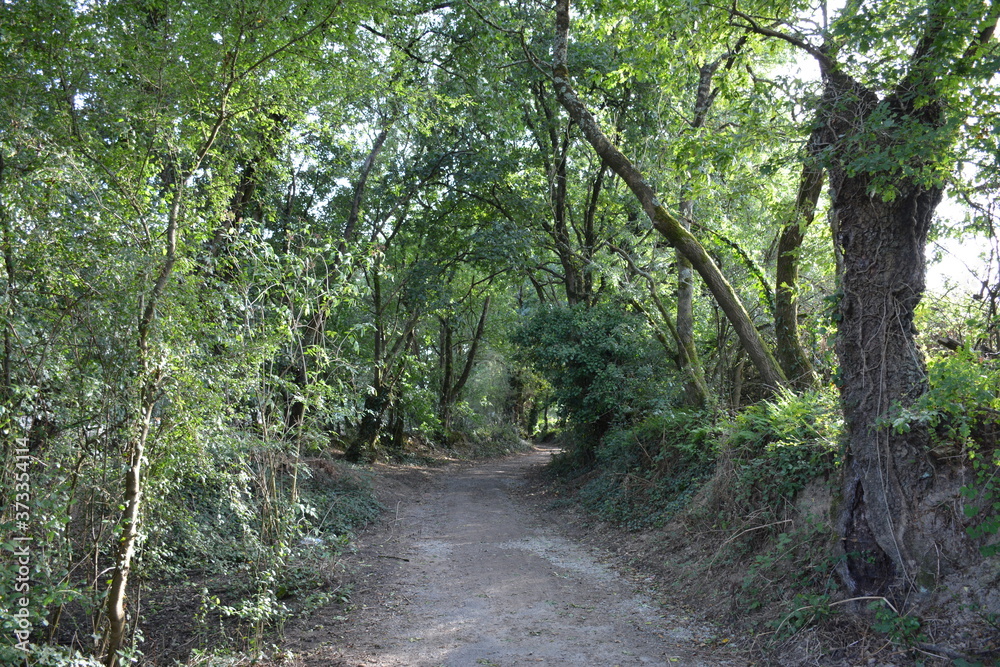 Fototapeta premium Saint-Herblain - Parc de la Chézine