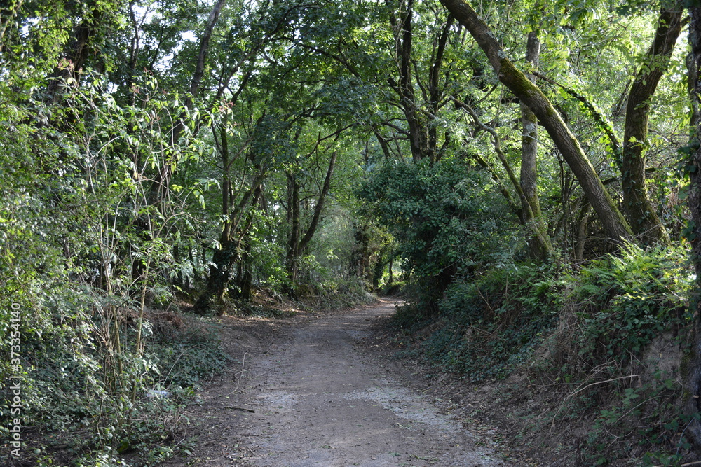 Saint-Herblain - Parc de la Chézine Saint-Herblain - Parc de la Chézine