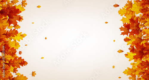 Autumn oak and maple leaves vertical frame.