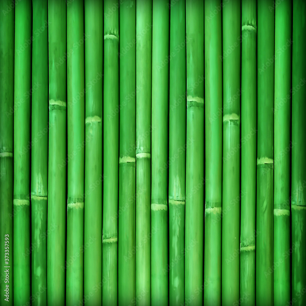 Bamboo texture background with natural patterns; bamboo fence texture background Bamboo texture background with natural patterns; bamboo fence texture background