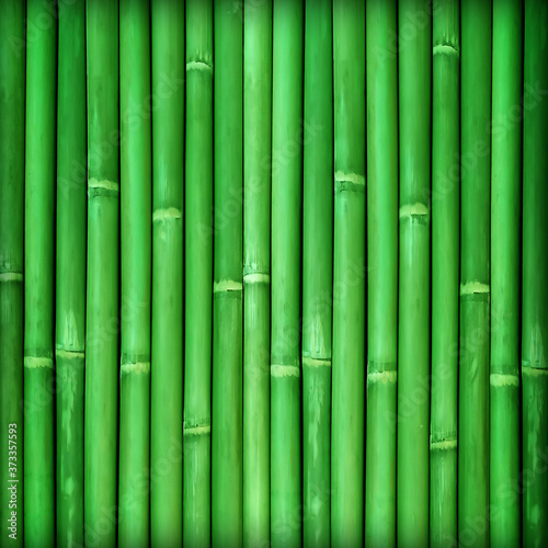 Fototapeta Naklejka Na Ścianę i Meble -  Bamboo texture background with natural patterns; bamboo fence texture background