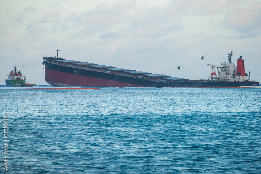 Japanese ship Wakashio wrecked off the coast of Mauritius