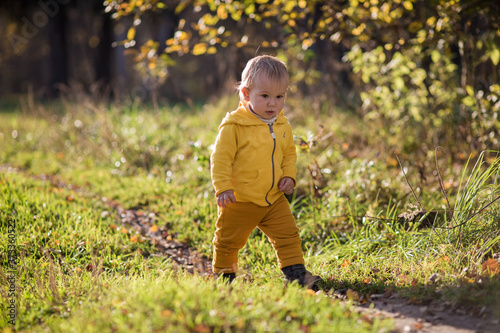 .A todler todler walks along a path to an autumn park