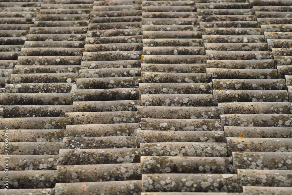 roof with regular tiles and covered with lichens roof with regular tiles and covered with lichens