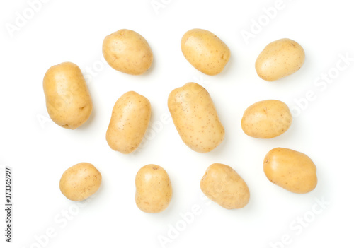 set of young raw potato set isolated on white