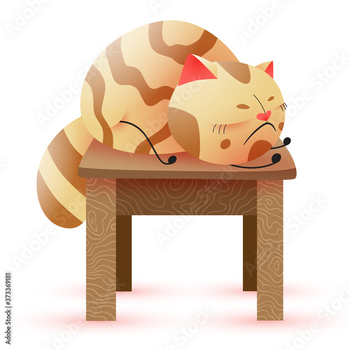 Sleeping cat on a backless stool