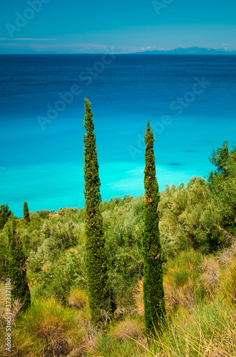 Nature vegetation foliage by the sea © qunamax