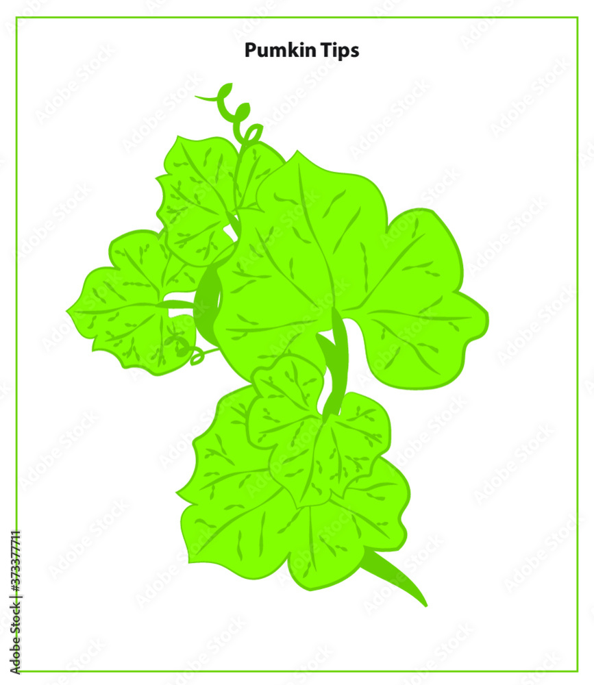 Naklejka premium Pumkin Tips