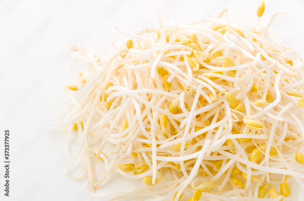 大豆もやし 大豆もやし