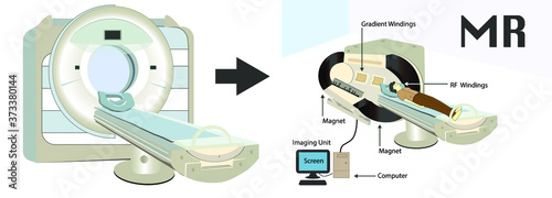 MR infographic. Magnetic resonance imaging. nuclear magnetic resonance imaging. magnetic resonance tomography. resonance subject for physics lesson. 