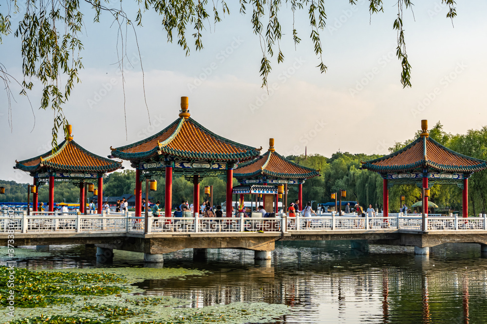 Lotus and landscape in Nanhu Park, Changchun, China Lotus and landscape in Nanhu Park, Changchun, China