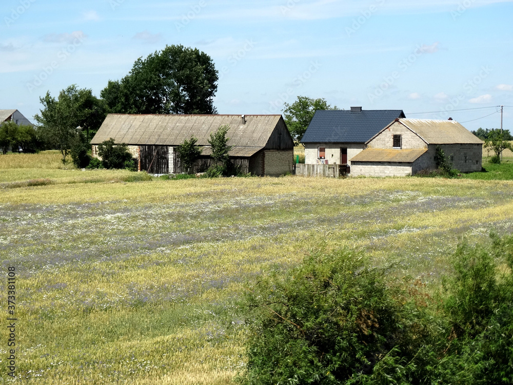 Landscape of farm and house in field in summer season in Eastern Europe. Landscape of farm and house in field in summer season in Eastern Europe.