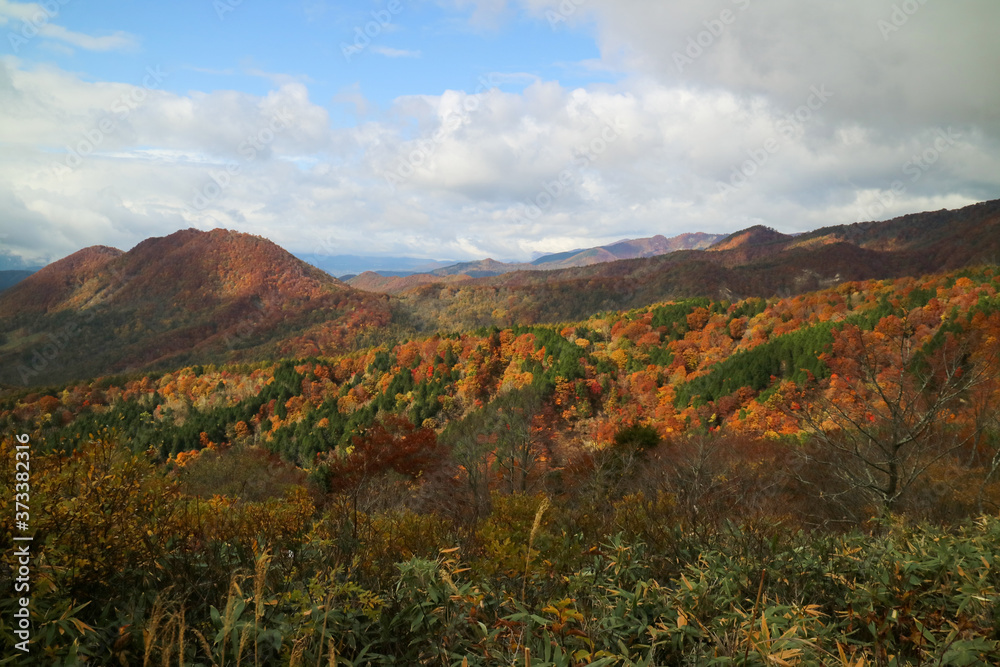 磐梯吾妻スカイラインの紅葉