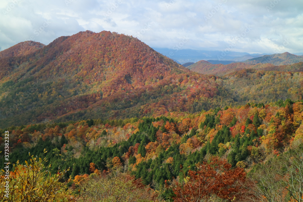 磐梯吾妻スカイラインの紅葉 磐梯吾妻スカイラインの紅葉