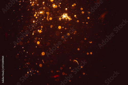 Abstract gold defocus bokeh glitter vintage lights with black