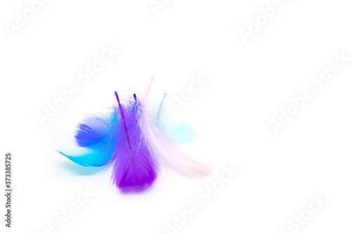 Beautiful colorful feather on white background