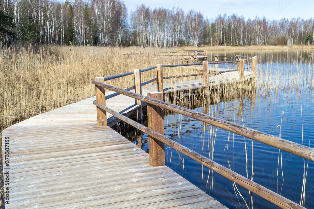 Plains quarry in Olaine, Latvia. Wooden path along the lake. Lake shore, reeds and trail.