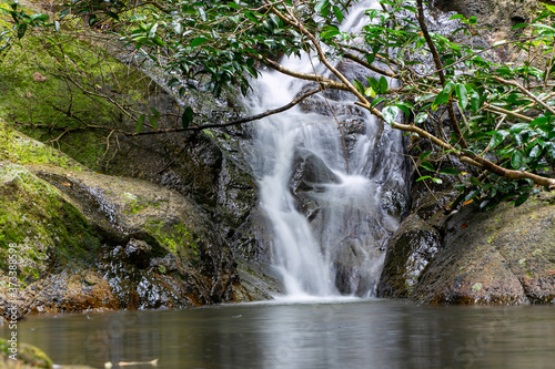 Fototapeta Naklejka Na Ścianę i Meble -  small waterfall in the forest