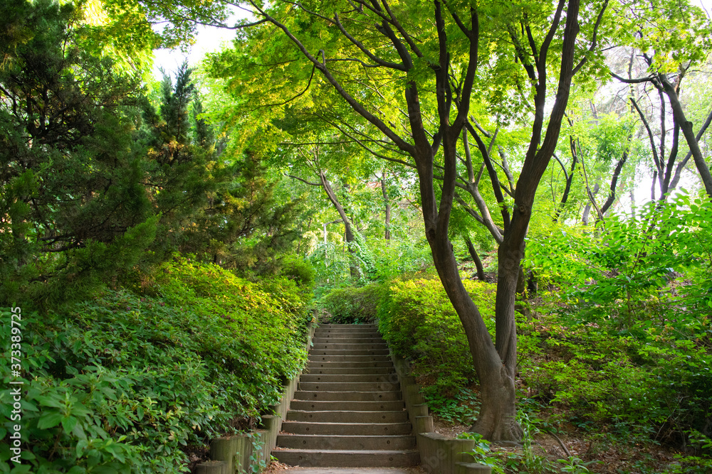 Old Stone Steps in Beautiful Park (Spring) - Seoul, South Korea Old Stone Steps in Beautiful Park (Spring) - Seoul, South Korea
