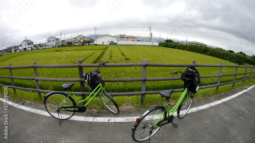 inside the Nara palace area showing wooden structure, shrine and cycling trail
 photo