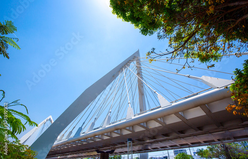 Guadalajara, Mexico, Matute Remus BridgeGuadalajara, Mexico, Matute Remus Bridge photo