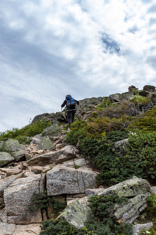 Hiking poles provide assistance in the ever-changing footing of alpine region trails