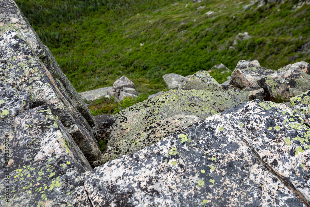Lichen grow on the steep cliff drops along Bondcliff Lichen grow on the steep cliff drops along Bondcliff