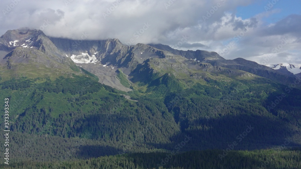 Summer views from the Alaska wilderness 