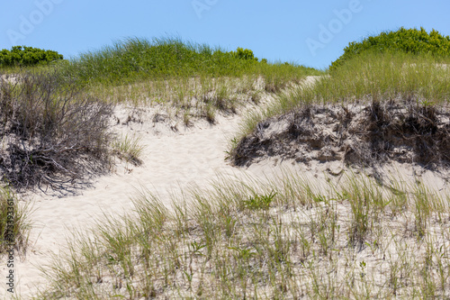 A narrow trail through the dune grass leads up a dune to better views.