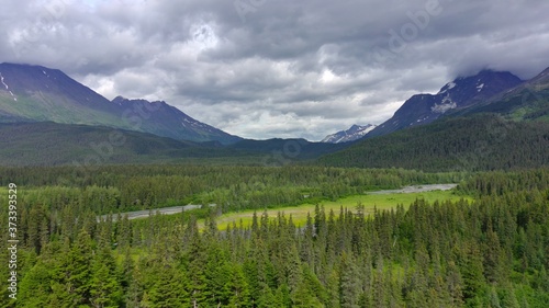 Summer views from the Alaska wilderness 