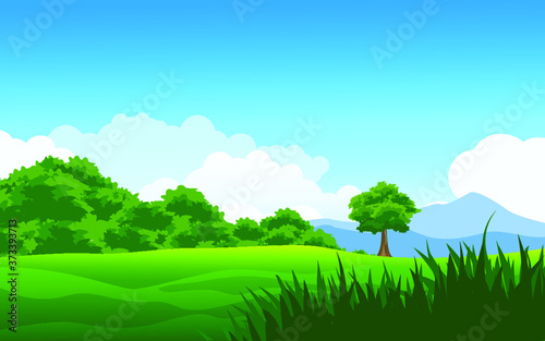 summer landscape with trees and meadow