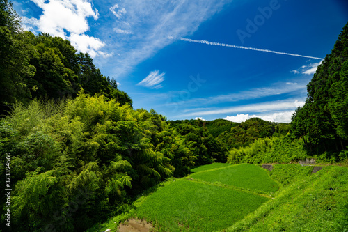 山間部の水田　たんぼ