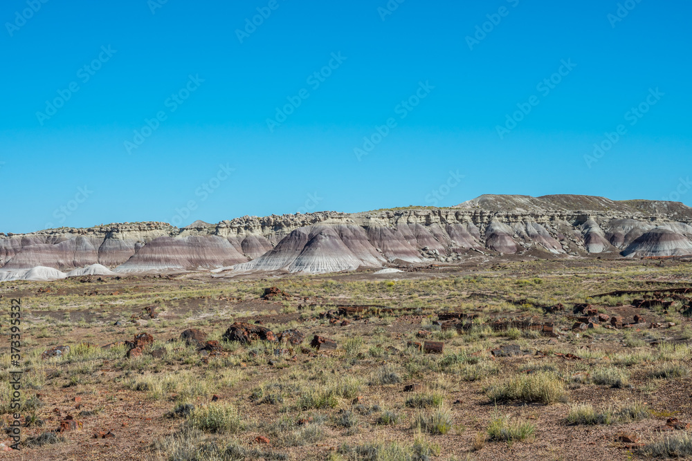 The Blue Mesa Trail in Petrified Forest National Park, Arizona The Blue Mesa Trail in Petrified Forest National Park, Arizona