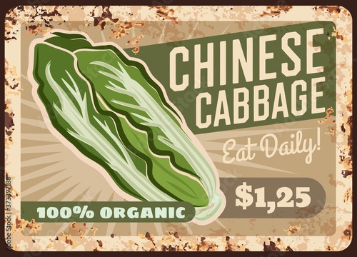 Cabbage Chinese napa rusty metal plate, vegetables food and farm market price menu, vector retro poster. Green Chinese cabbage napa or nappa lettuce, vegetables and greenery veggies