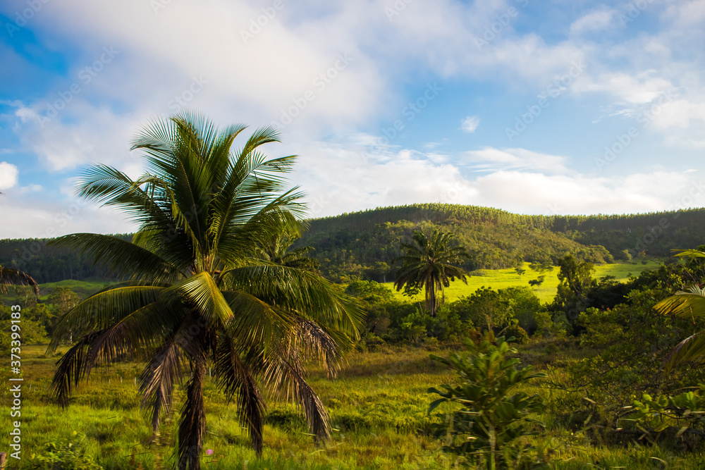 Rural landscape with blue sky
