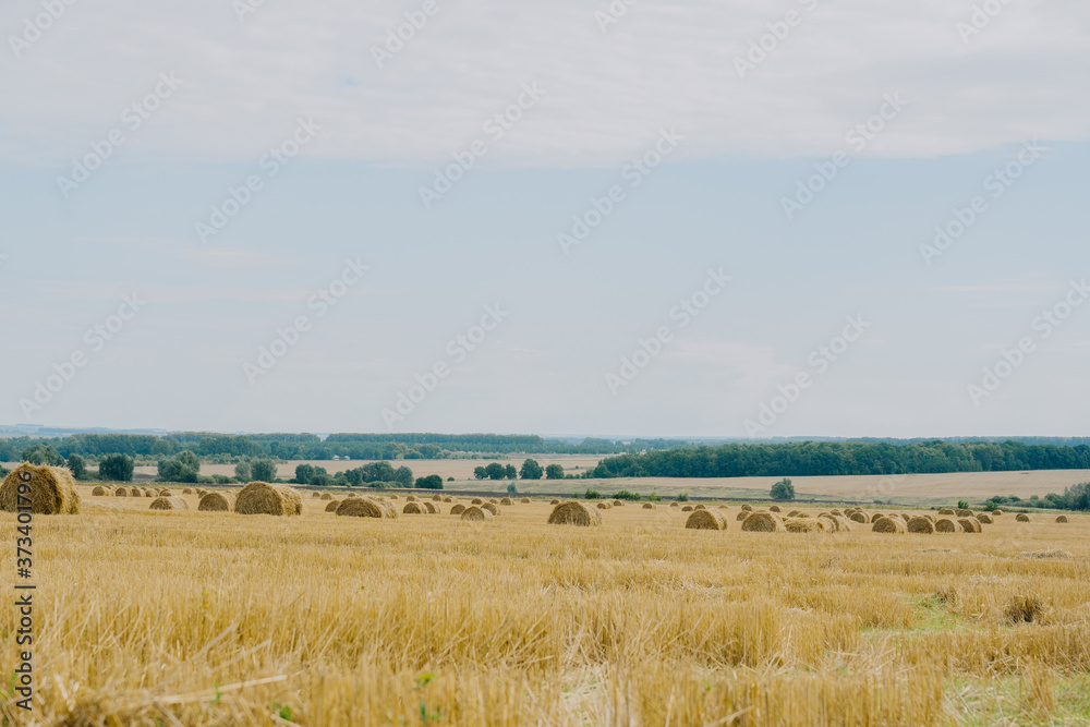 Straw bales on agricultural land in cloudy weather.