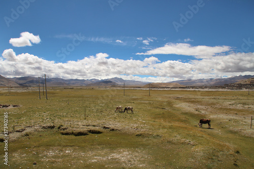 View of the Himalaya mountains and Tibetan village with yaks in Tibet, China