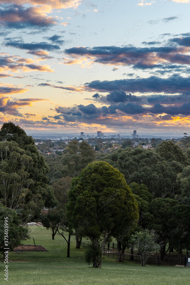Trees, city at the distance, and sunset sky.