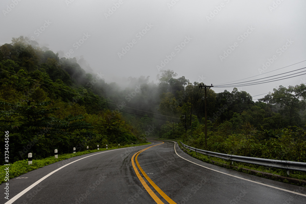 Logistic concept aerial view of countryside road - motorway passing through the serene lush greenery and foliage tropical rain forest mountain landscape
