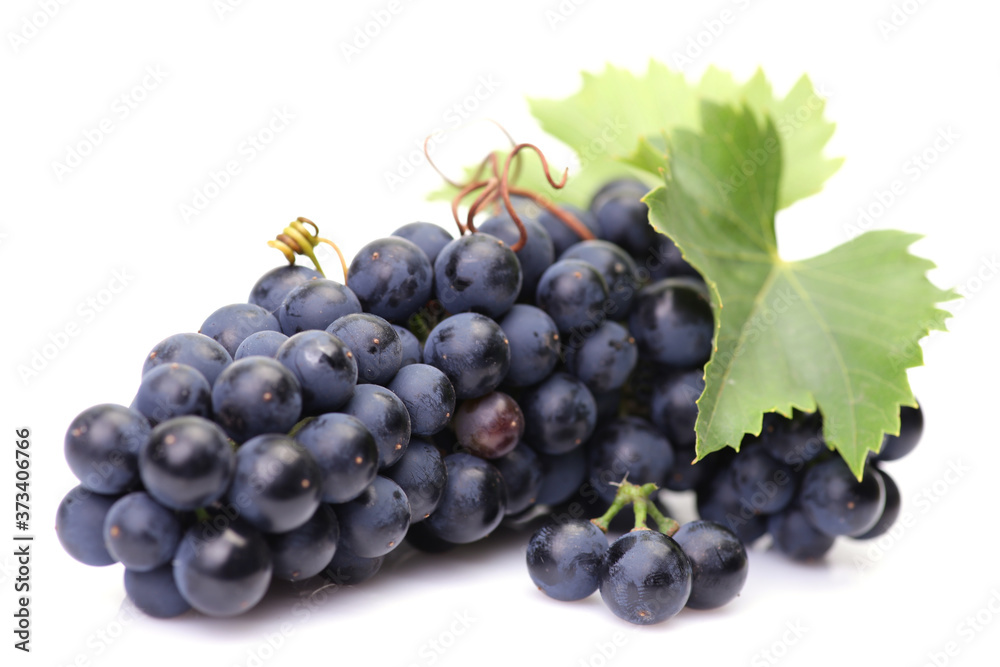 Grapes on a white background Grapes on a white background