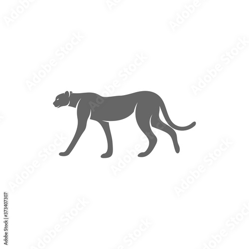 Cheetah logo template vector illustration